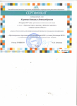 Сертификат ТОИПКРО по предоставлению опыта работы, 2017г